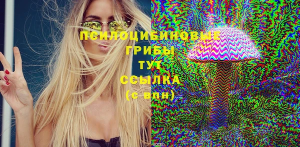 ГАЛЛЮЦИНОГЕННЫЕ ГРИБЫ Алексин