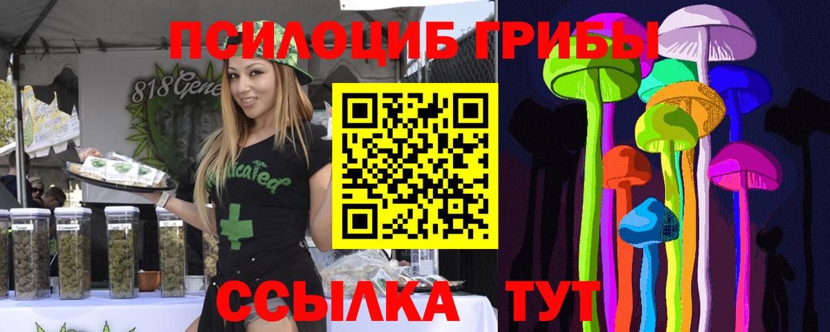 Галлюциногенные грибы Psilocybe  Псилоцибиновые грибы ЛСД  Северодвинск  наркошоп  Вход с VPN 