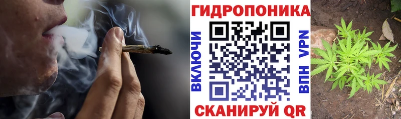 shop официальный сайт  Северодвинск  Шишки марихуана конопля  продажа наркотиков 