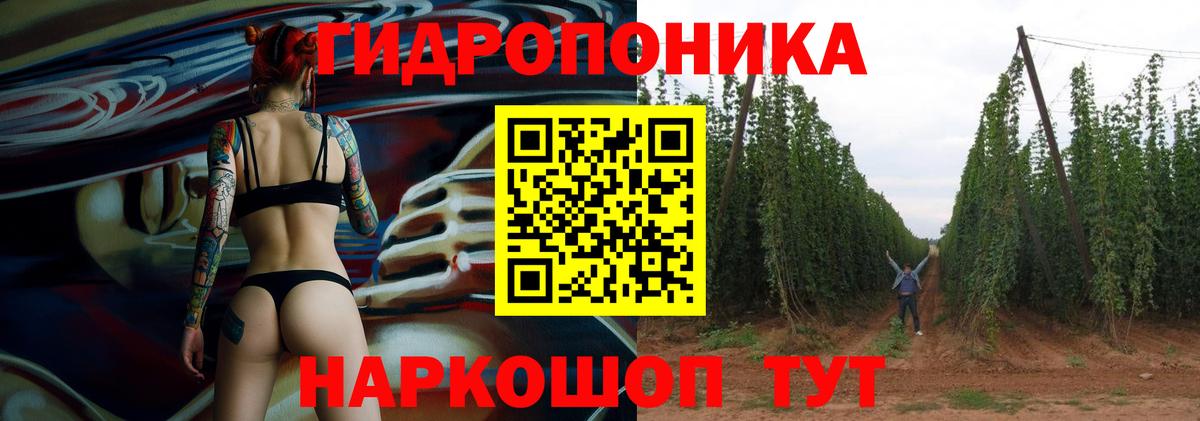 Каннабис семена Северодвинск